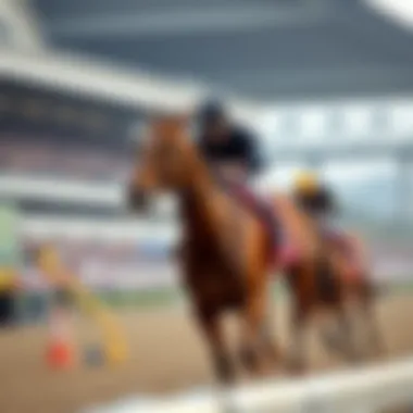 A Historical Perspective on Korean Horse Racing Historical perspective of horse racing in Korea