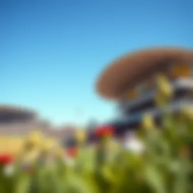 Outdoor Spectacle: The Beauty of Sports in Nature A picturesque outdoor venue hosting a major sporting event under clear blue skies