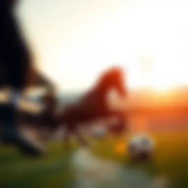 Considerations for effective betting