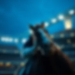 스포츠 다시보기 사이트: 최신 정보와 기능 Introduction